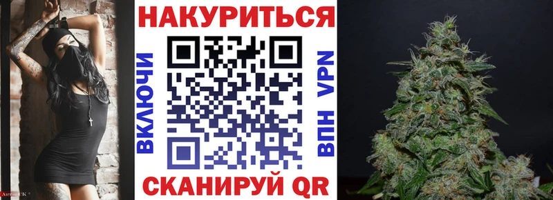 ГАШ Новомосковск