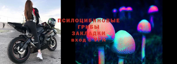 apvp Дмитровск