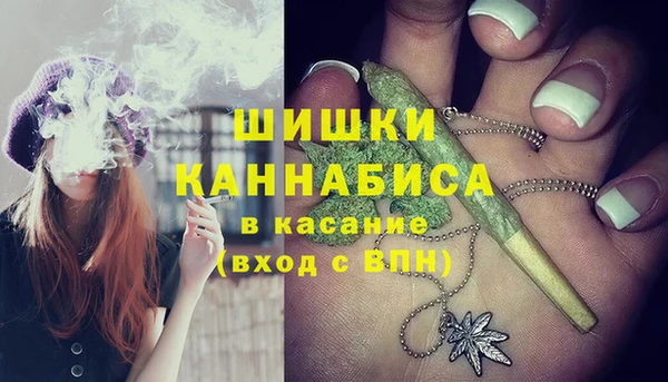 мдма Дмитриев