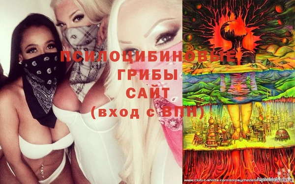 apvp Дмитровск