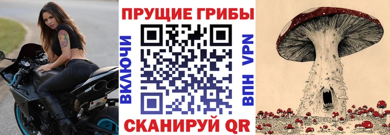 Галлюциногенные грибы Magic Shrooms  Новомосковск 